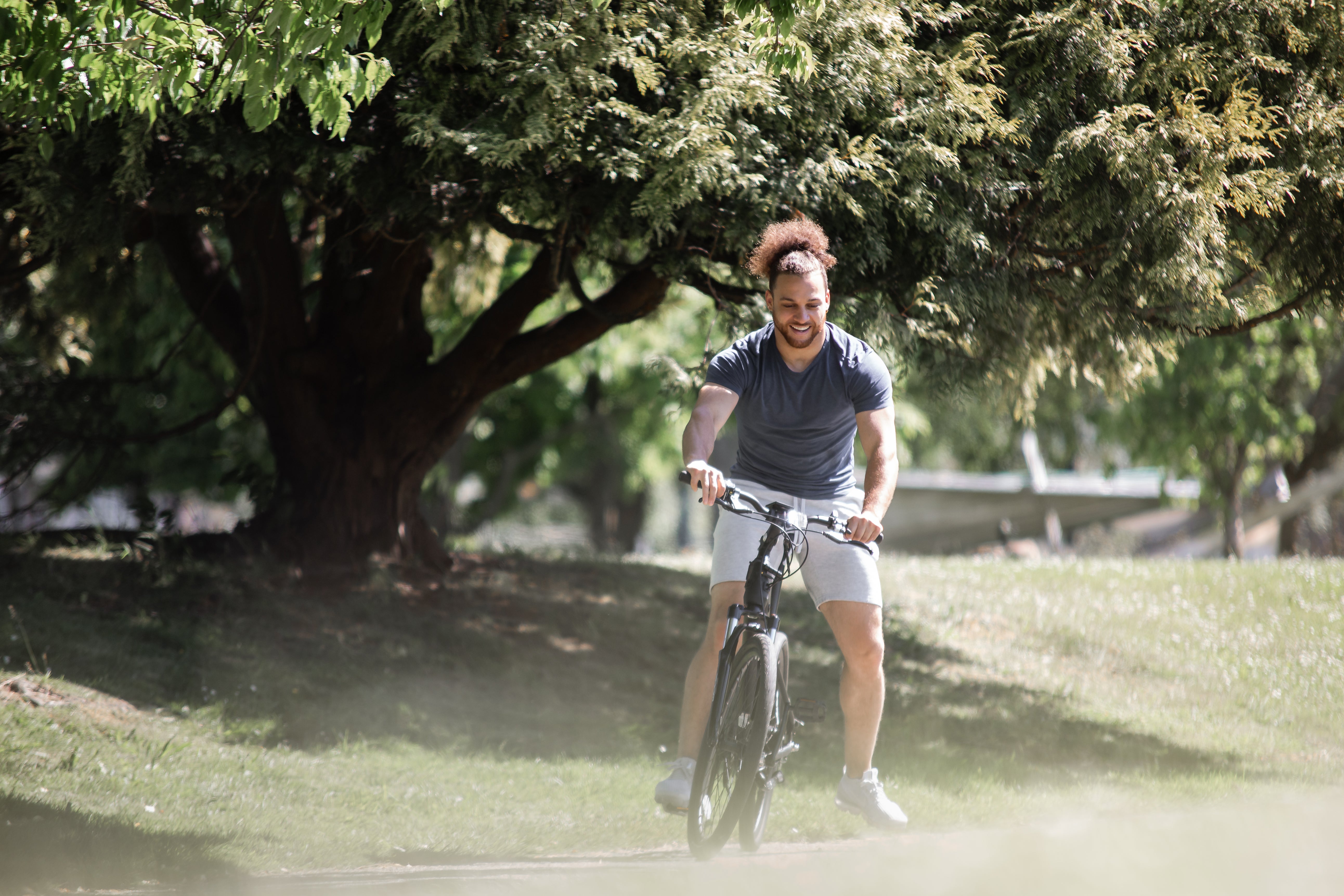 Rover E Bike